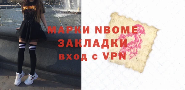 стаф Алзамай