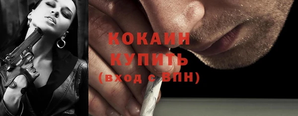 apvp Алексин