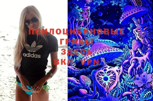apvp Алексин
