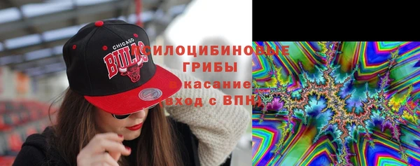 стаф Алзамай