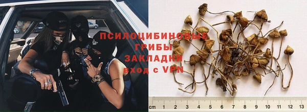 apvp Алексин
